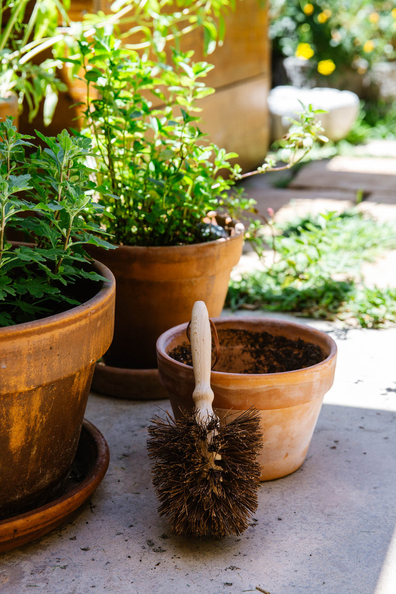 plant pot brush Flower Pot Brush – Humble & Grand