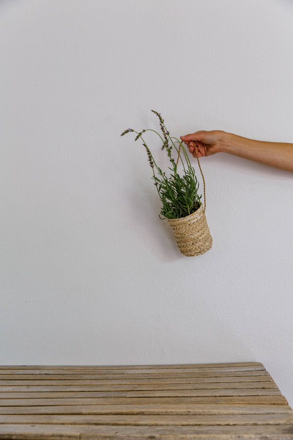 Hanging Basket vase